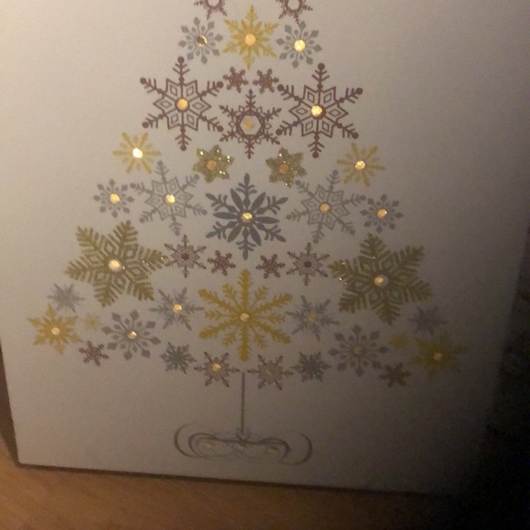 Light up Christmas pictures